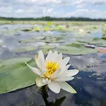 Wilczy Zew Private & Nature Villa *