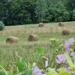 Wilczy Zew Private & Nature Villa *