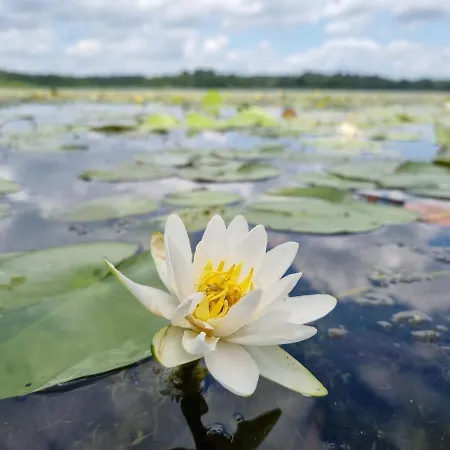 Wilczy Zew Private & Nature Villa *