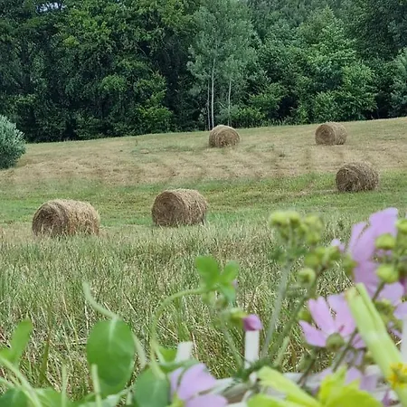 Wilczy Zew Private & Nature Villa *