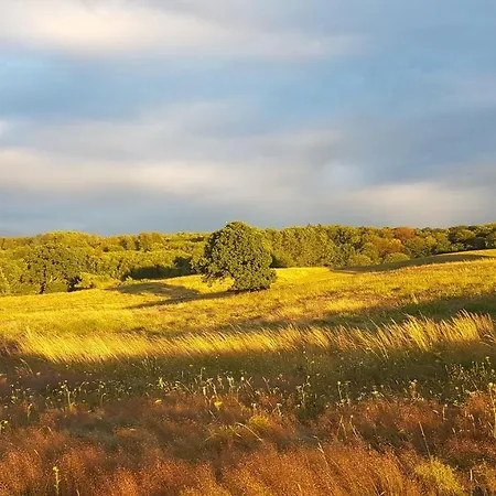 Villa Wilczy Zew Private & Nature *