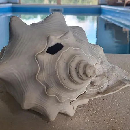 Wilczy Zew Private & Nature Borne