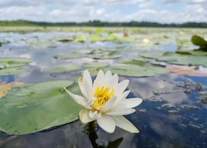 Wilczy Zew Private & Nature Vila *