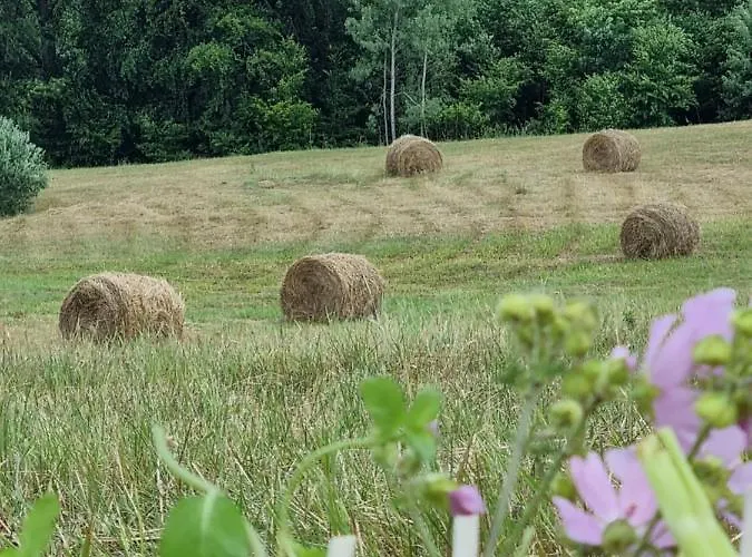 Wilczy Zew Private & Nature Villa *