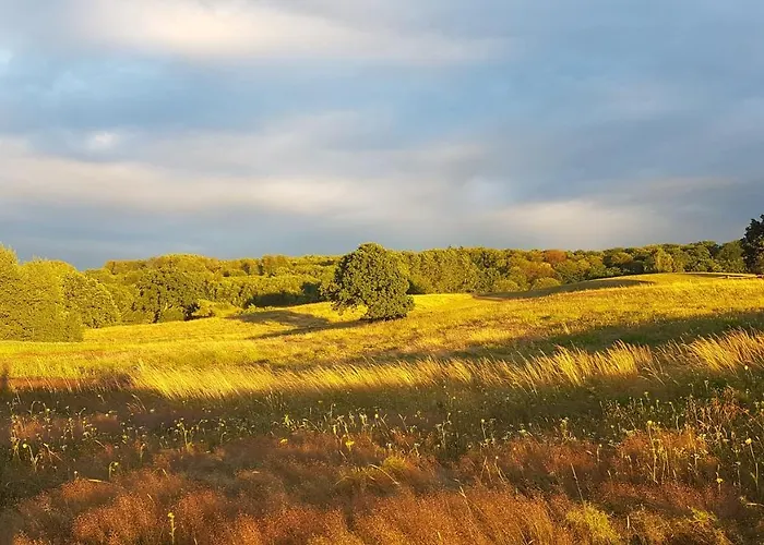 Villa Wilczy Zew Private & Nature *