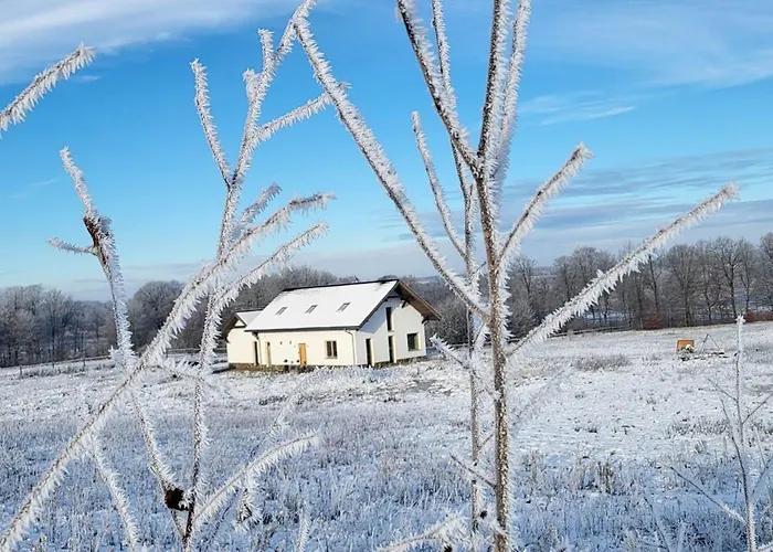 Wilczy Zew Private & Nature Borne